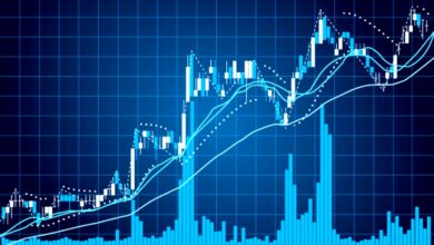 Forex Trading Signals