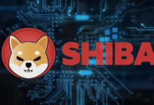 Shiba Inu Crypto News Today