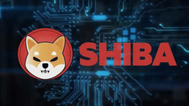 Shiba Inu Crypto News Today