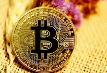 Blockchain Explorer - Bitcoin Tracker & More Blockchain com