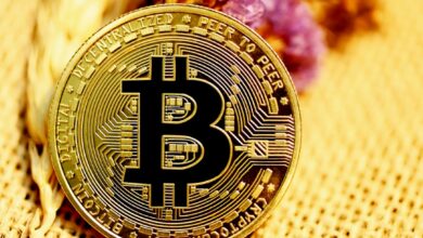 Blockchain Explorer - Bitcoin Tracker & More Blockchain com
