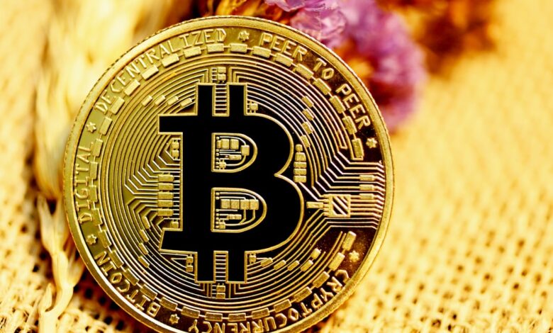 Blockchain Explorer - Bitcoin Tracker & More Blockchain com