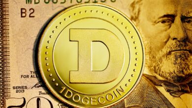 Decentralized Finance Dogecoin Unlocking the Potential