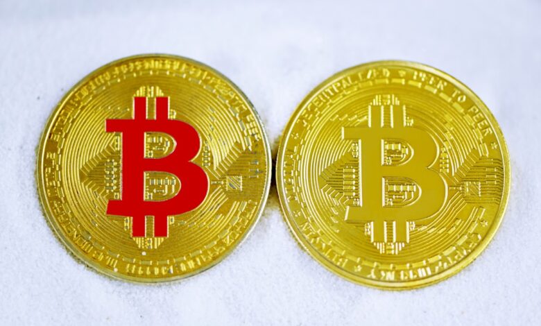 Donald Trump Dives into Bitcoin What to Know