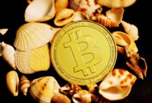 Earn Big with Blockchain Tips to Profit from Crypto