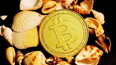 Earn Big with Blockchain Tips to Profit from Crypto
