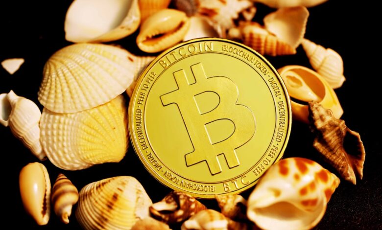 Earn Big with Blockchain Tips to Profit from Crypto