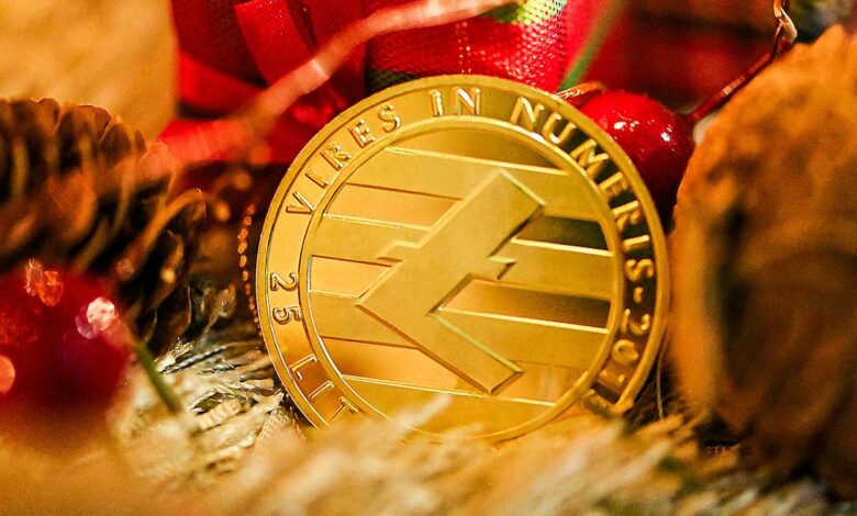 Litecoin Trading Discover the Path to Financial Freedom