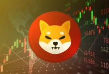 Shiba Inu Coin Review Everything You Need to Know