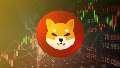 Shiba Inu Coin Review Everything You Need to Know