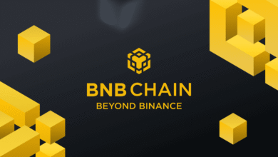 BNB Ecosystem Outperforms