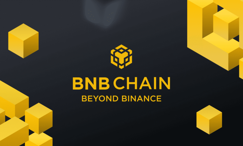 BNB Ecosystem Outperforms
