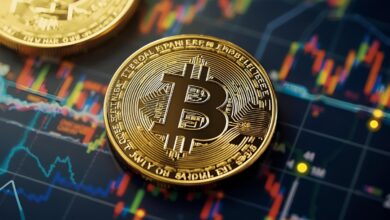 Crypto Rally Post-Fed Rate Cut