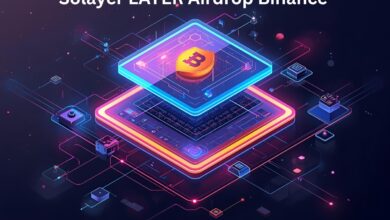 Solayer LAYER Airdrop Binance
