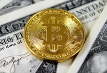 Bitcoin News