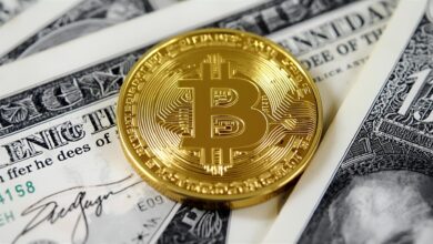 Bitcoin News