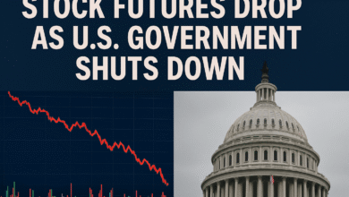 Stock Futures Drop As
