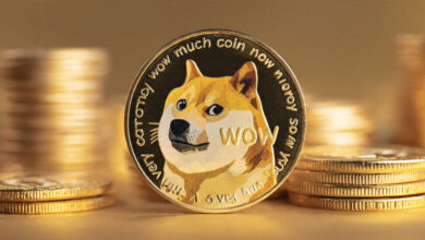 Dogecoin ETF and DSNT AI