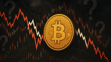 Bitcoin Down Today