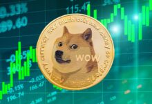 Bitwise Launches BWOW Dogecoin