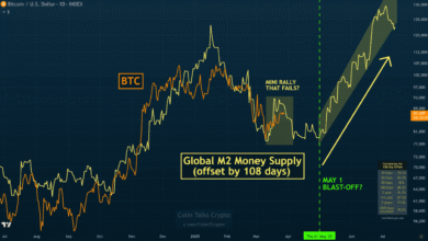 Bitcoin Charts Mirror