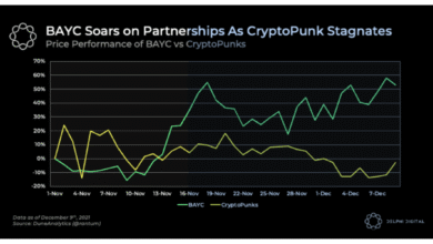 Crypto Punks & BAYC Lead