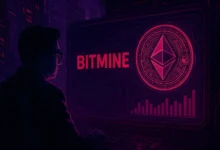 BitMine Immersion Wins