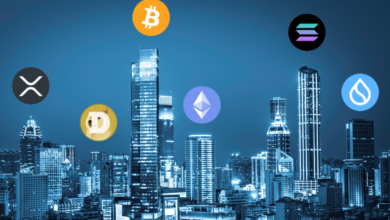 Crypto Payment Platforms Rise